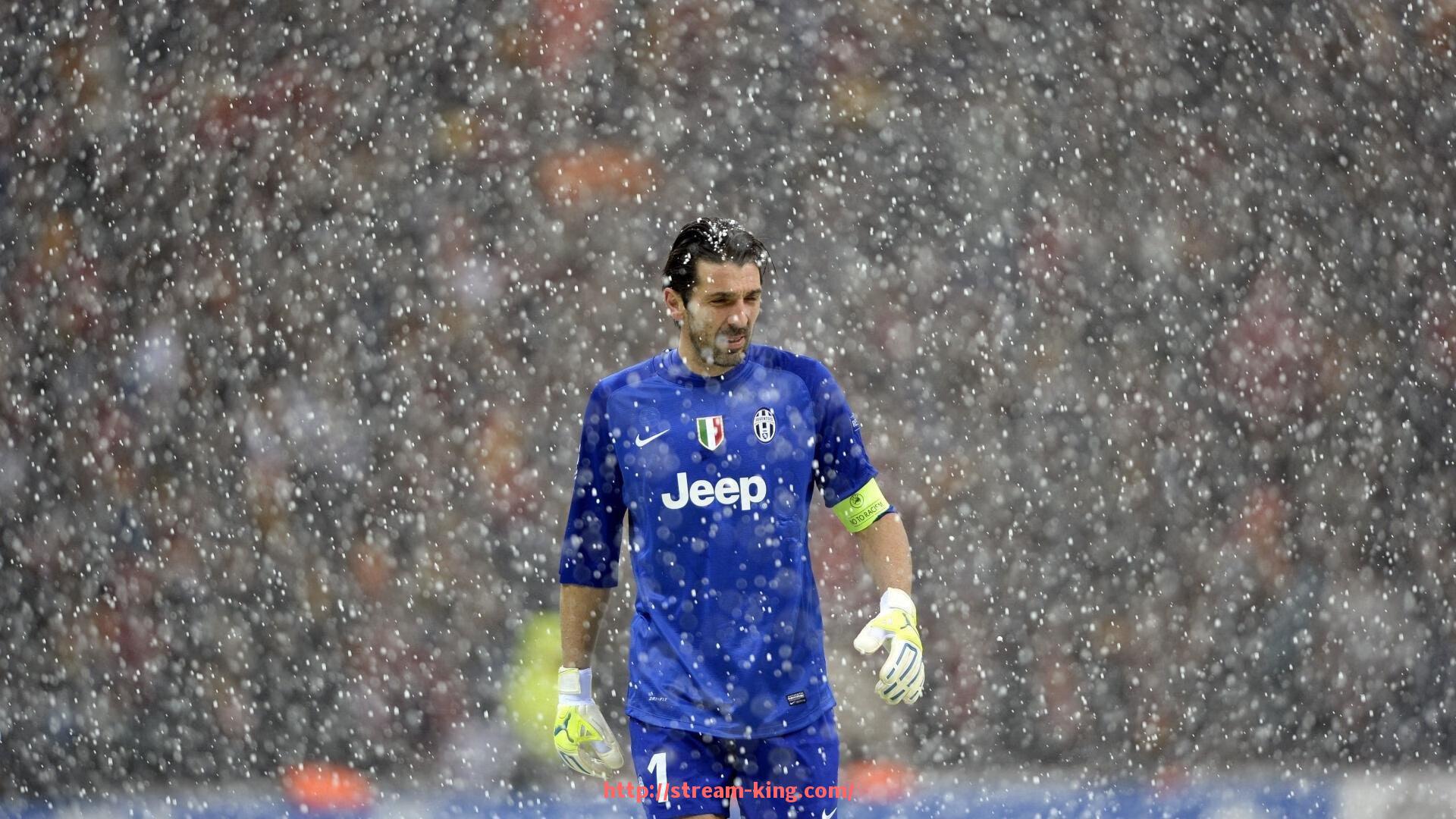 王者体育直播-多特蒙德2013年欧冠赛季全面分析