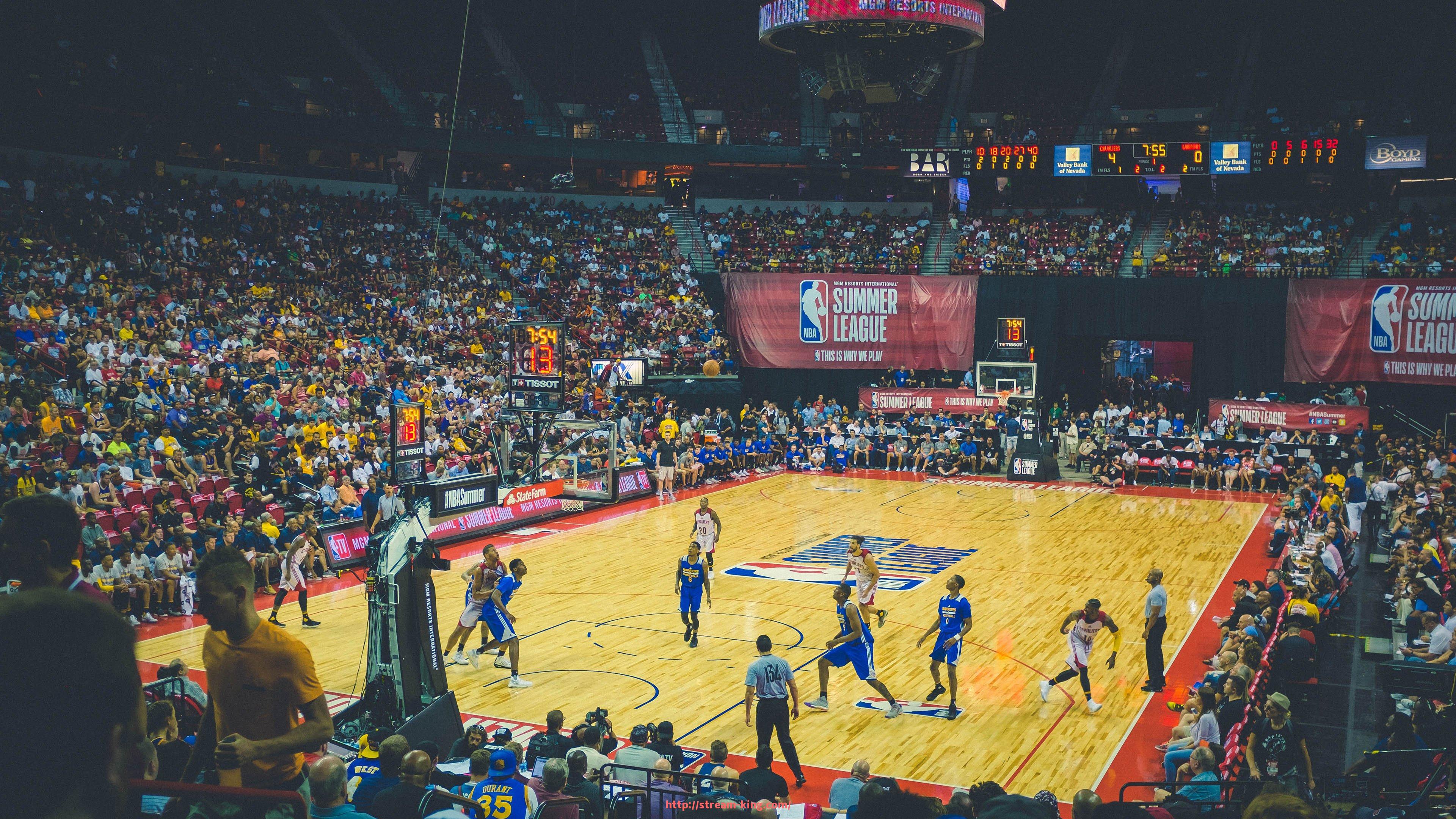 王者体育直播-多特蒙德2013年欧冠赛季全面分析